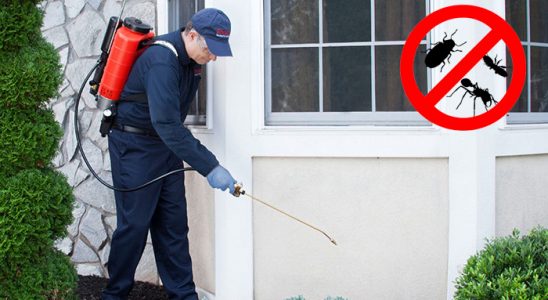 Ceylanpınar Hamam Böceği İlaçlama böcek ilaçlama ve haşere kontrolü — ilaclama-tr.com